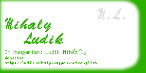 mihaly ludik business card